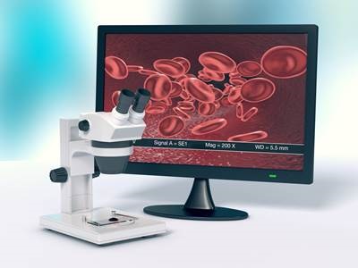 LABORATORIA DE ANALISE DA MOFOLOGIA DO SANGUE VIVO